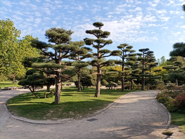 Frühlingszauber im Düsseldorfer Nordpark