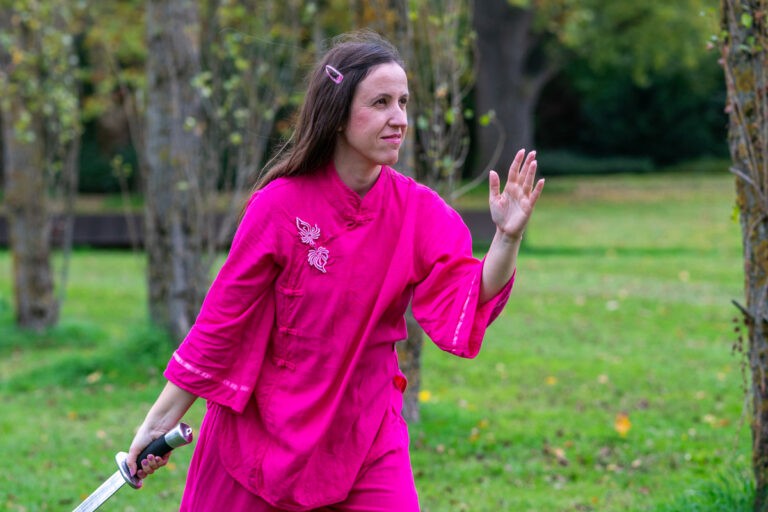 Wu-Stil Tai Chi: Offenes Training für alle Stufen