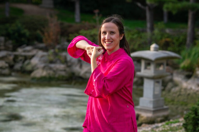 Pushhands: Tai Chi-Partnertraining für alle Stufen