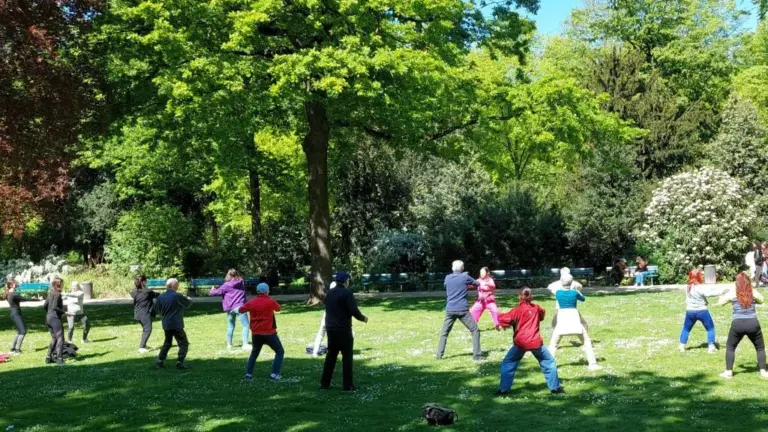 Gruppe von 15 Teilnehmern verschiedener Altersstufen beim Tai-Chi-Anfängerkurs auf der Wiese der Hofgartenkonzerte in Düsseldorf, Welt-Tai-Chi-Tag 2026